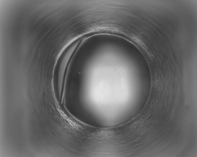 X0000052570888200507081659