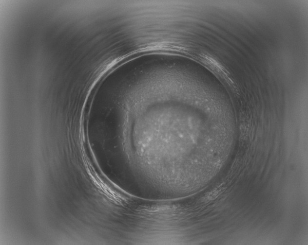 X0000052570892200507081659