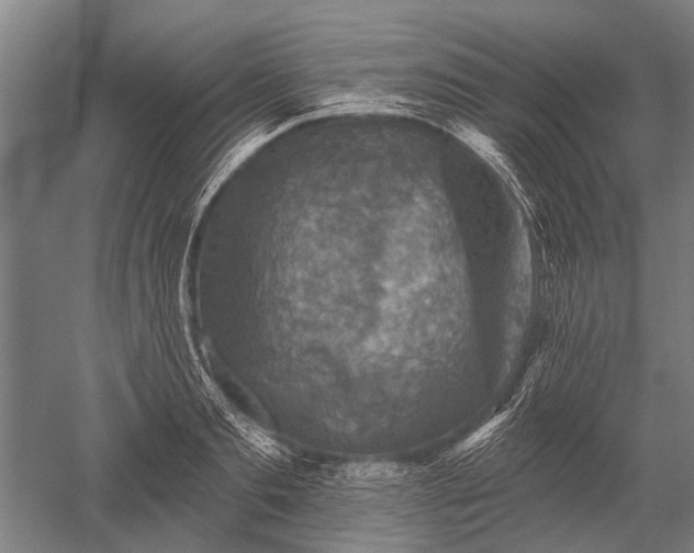 X0000052570893200507081659