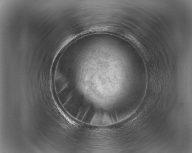 X0000052570894200507081659