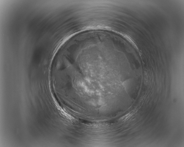 X0000052570895200507081659