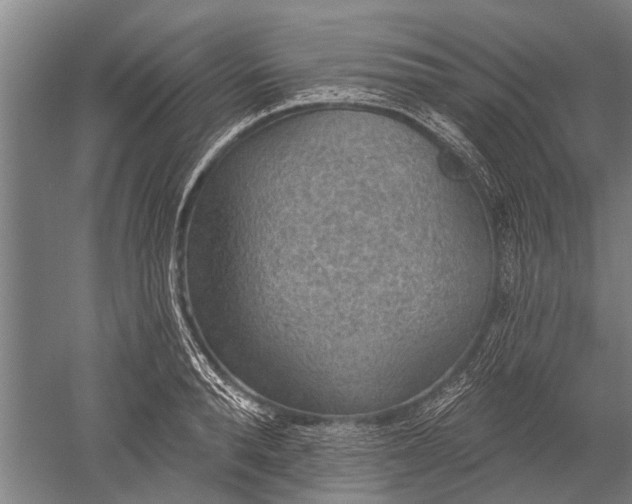 X0000052570896200507081658