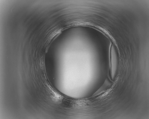 X0000052570897200507081658