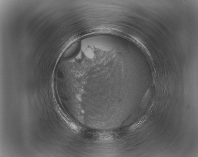 X0000052570899200507081658