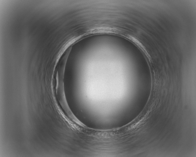 X0000052570901200507081658