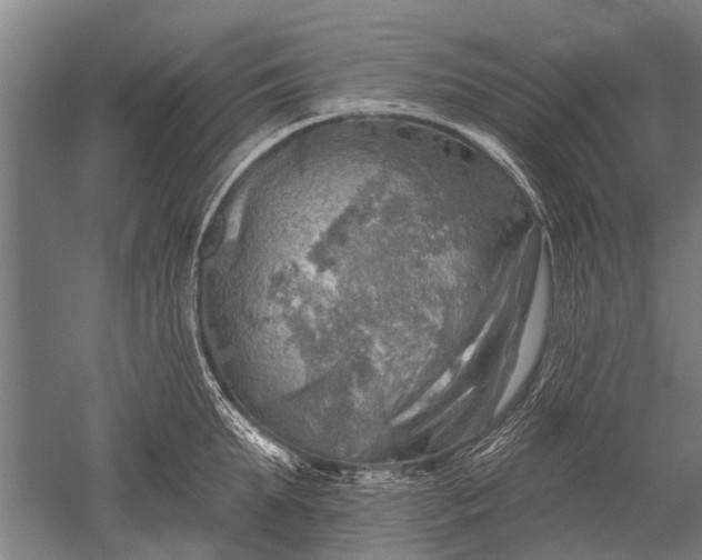 X0000052570903200507081658