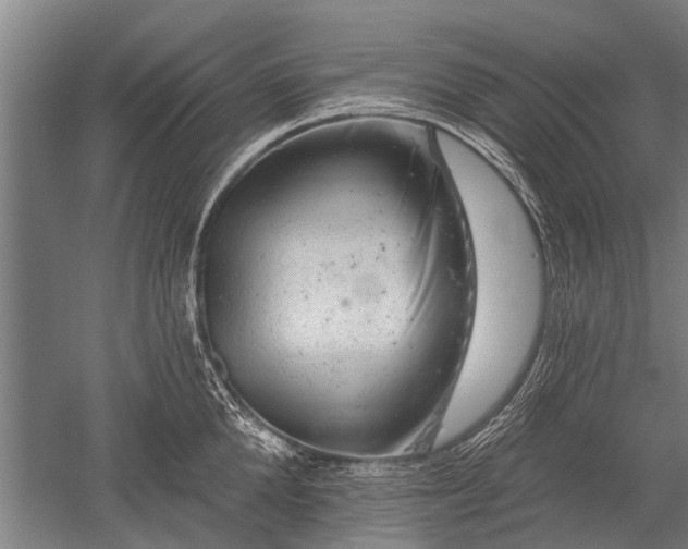 X0000052570904200507081658