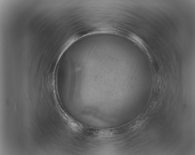 X0000052570907200507081658