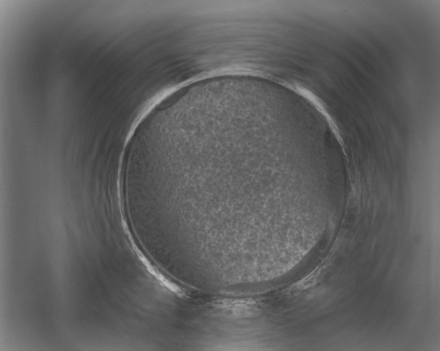 X0000052570910200507081658