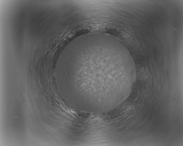 X0000052570913200507081657