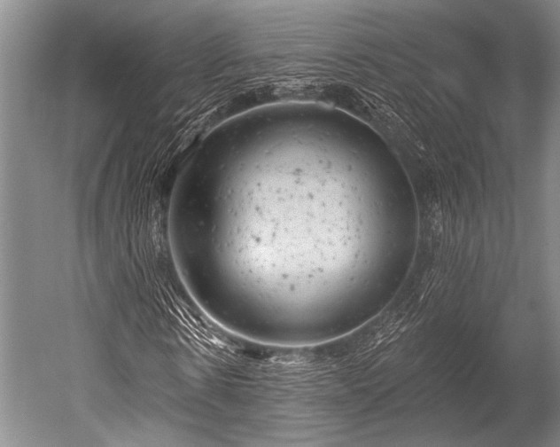 X0000052570914200507081657