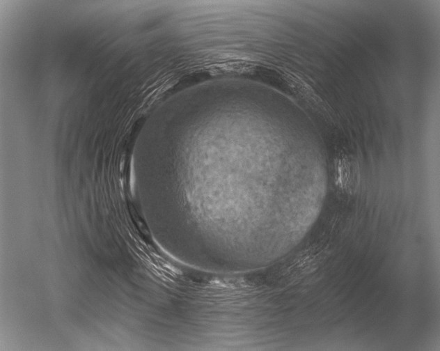 X0000052570915200507081657