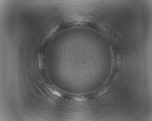 X0000052570916200507081657