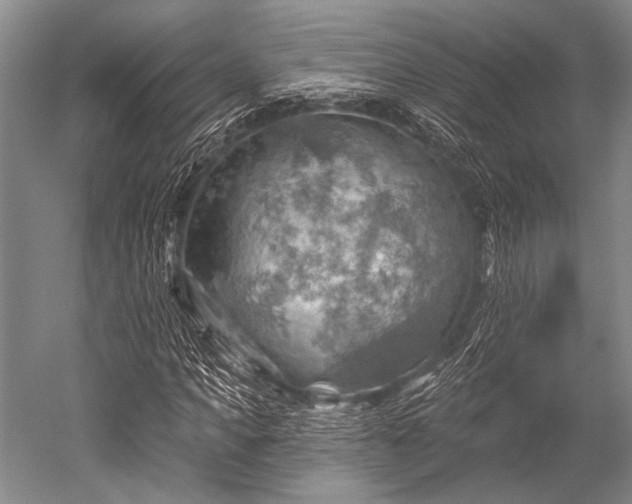 X0000052570917200507081657