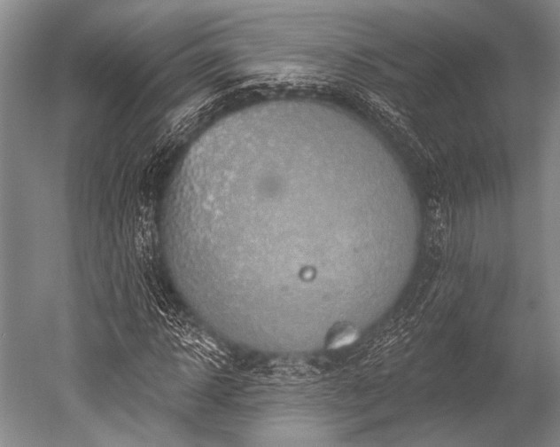 X0000052570918200507081657