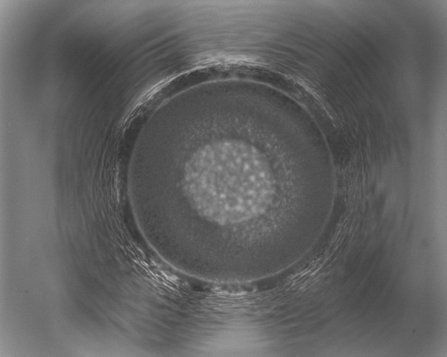 X0000052570919200507081658