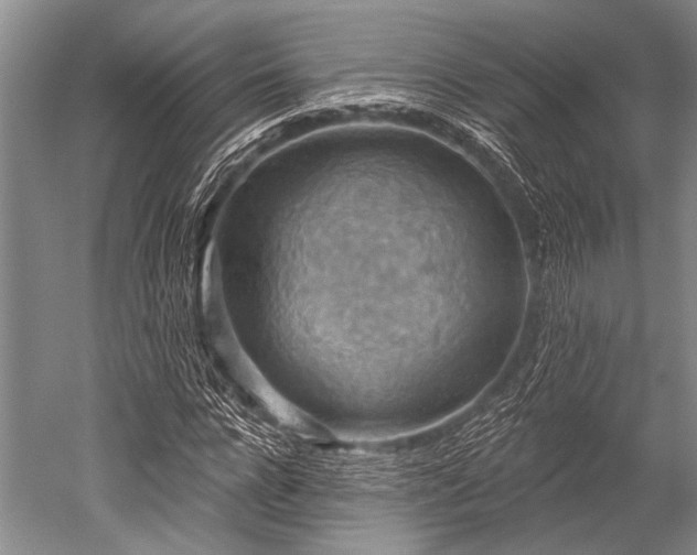 X0000052570920200507081658