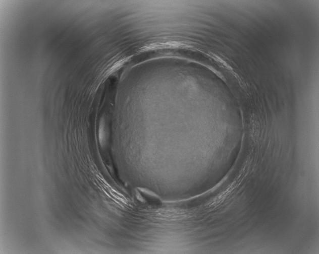 X0000052570921200507081658