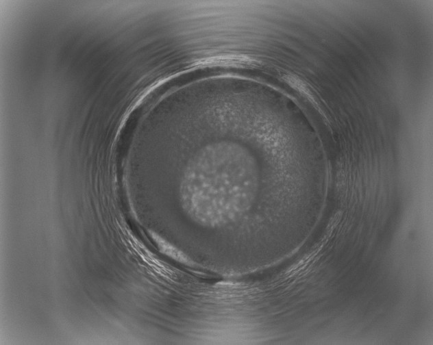 X0000052570923200507081658