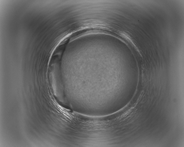 X0000052570924200507081658