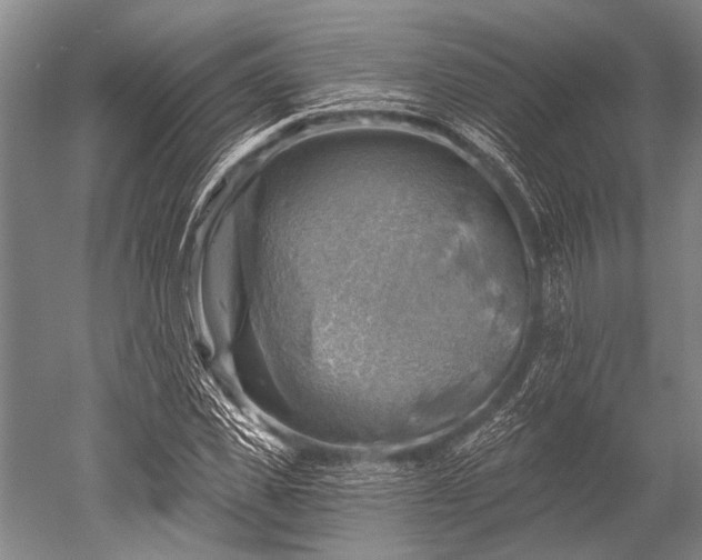 X0000052570925200507081658