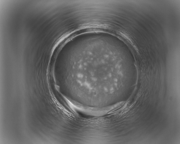 X0000052570928200507081658