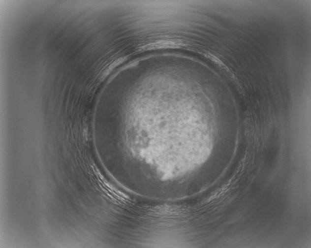 X0000052570929200507081658