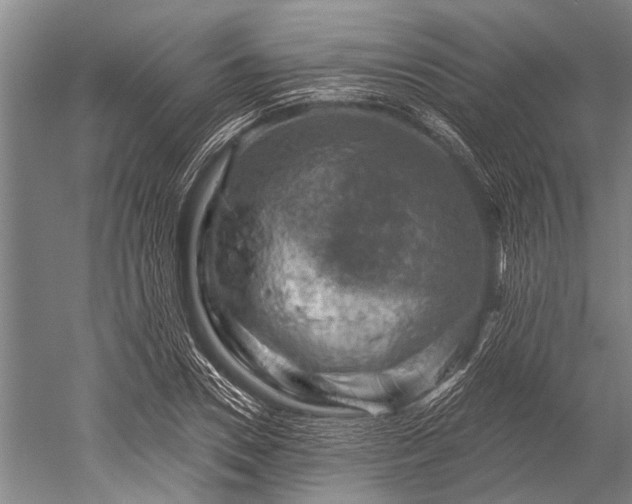 X0000052570930200507081658