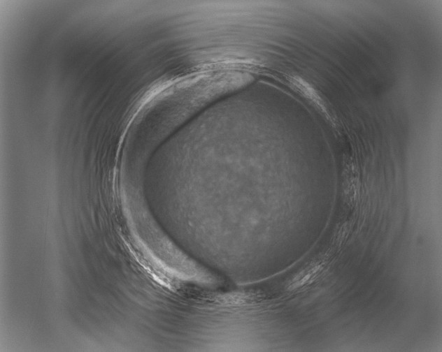 X0000052570932200507081658