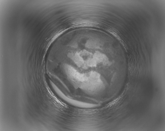 X0000052570933200507081658