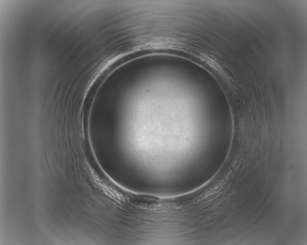 X0000052570934200507081658