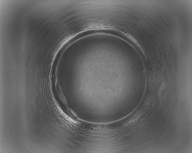 X0000052570935200507081658