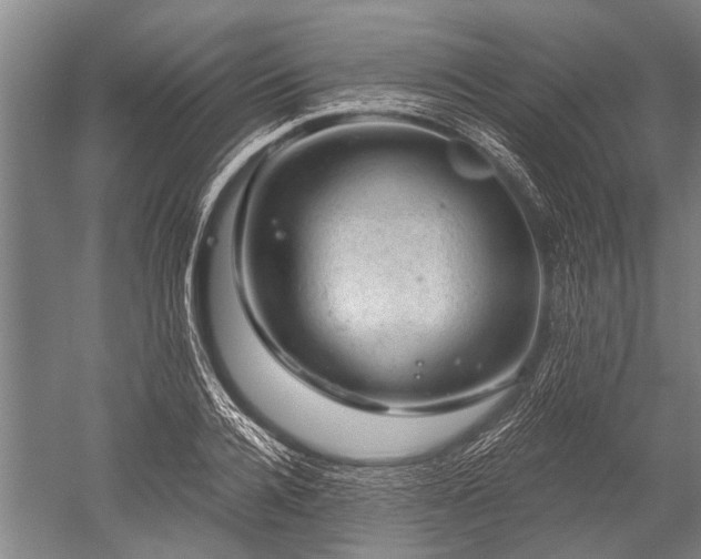 X0000052570936200507081658