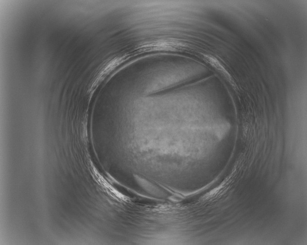 X0000052570938200507081658