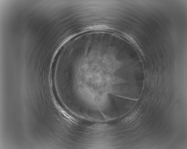 X0000052570939200507081658