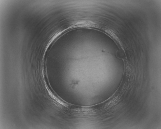 X0000052570941200507081658