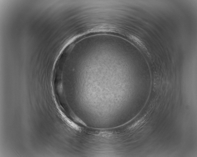 X0000052570942200507081658