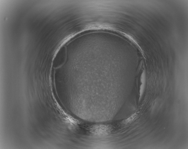 X0000052570943200507081658