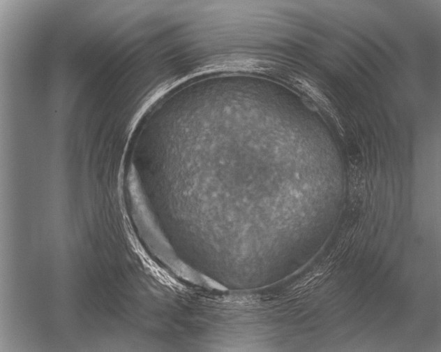 X0000052570944200507081658