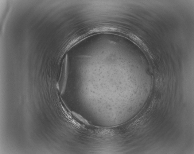 X0000052570945200507081658