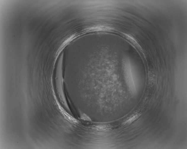 X0000052570946200507081658