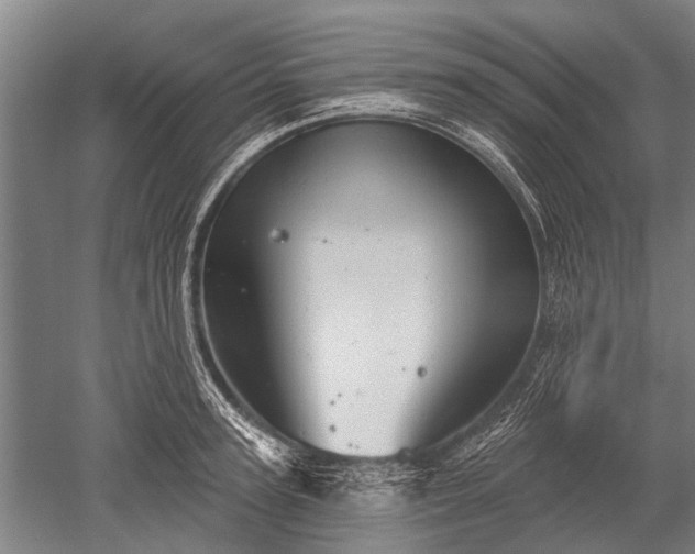 X0000052570947200507081658