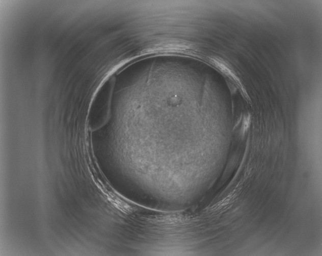 X0000052570948200507081658