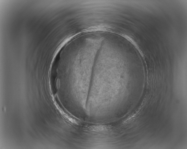 X0000052570949200507081658