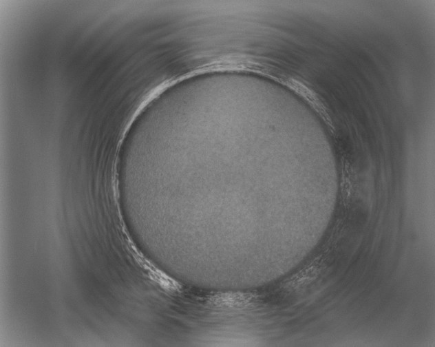 X0000052570950200507081658