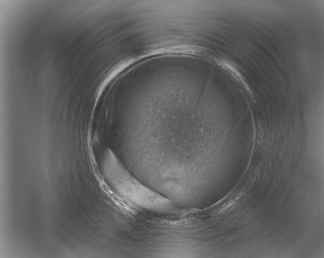 X0000052570952200507081658