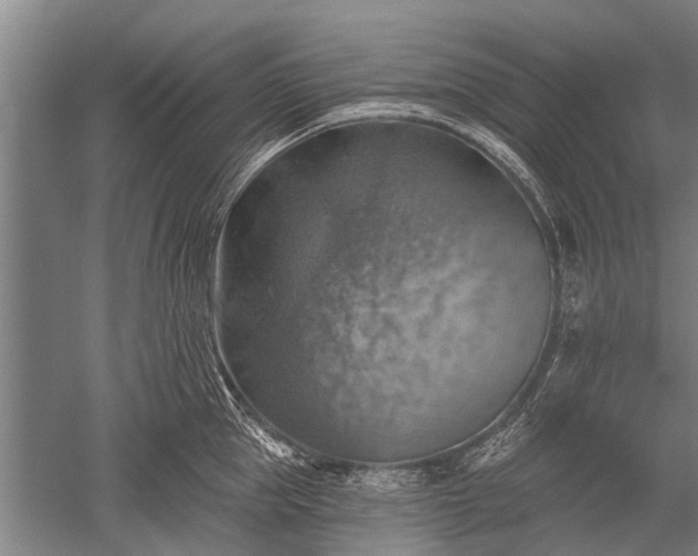 X0000052570953200507081658