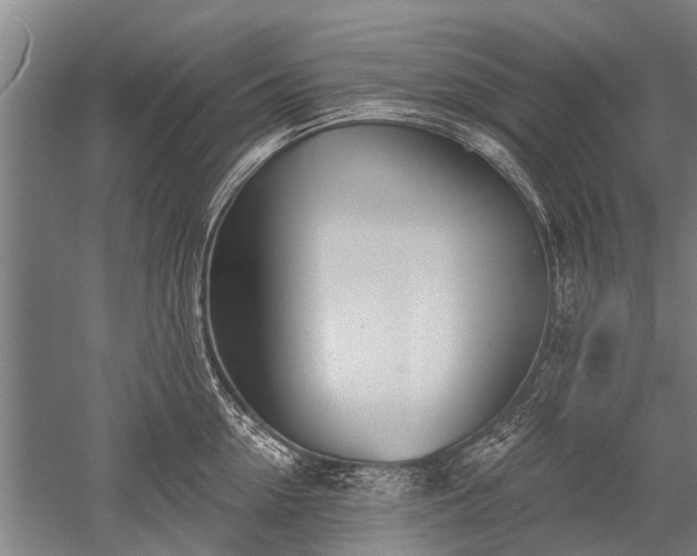 X0000052570954200507081658