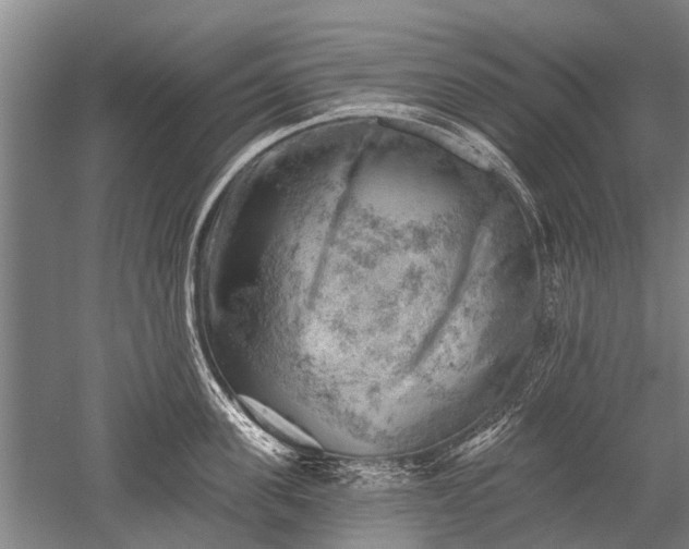 X0000052570955200507081658