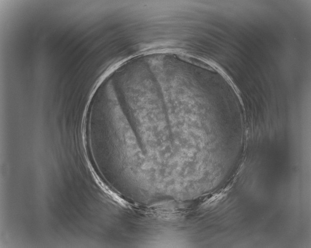 X0000052570957200507081658